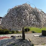 Nonna Giuseppina *