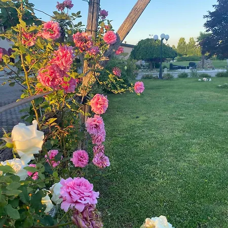 Nonna Giuseppina Casoni