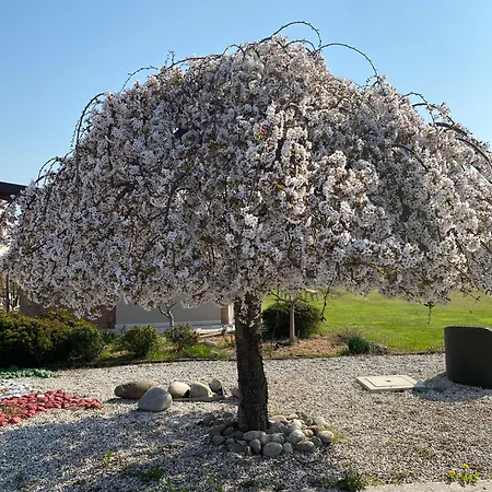 Nonna Giuseppina *